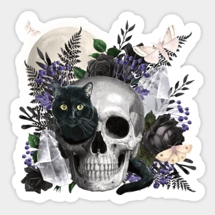 GOTHIC SKULL & BLACK CAT FULL MOON PEEK A BOO MAGIC Sticker